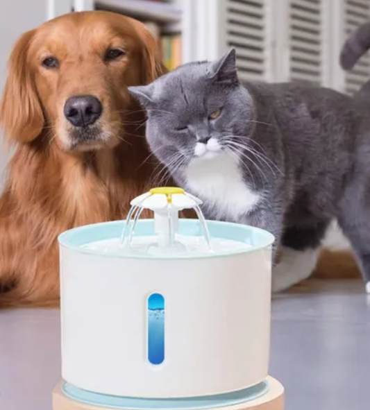 Bebedero Automático Para Perros Y Gatos